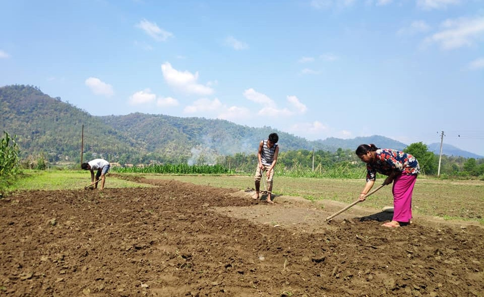 कर्णालीमा जमिन बाँझो नराख्न किसानलाई अनुदान