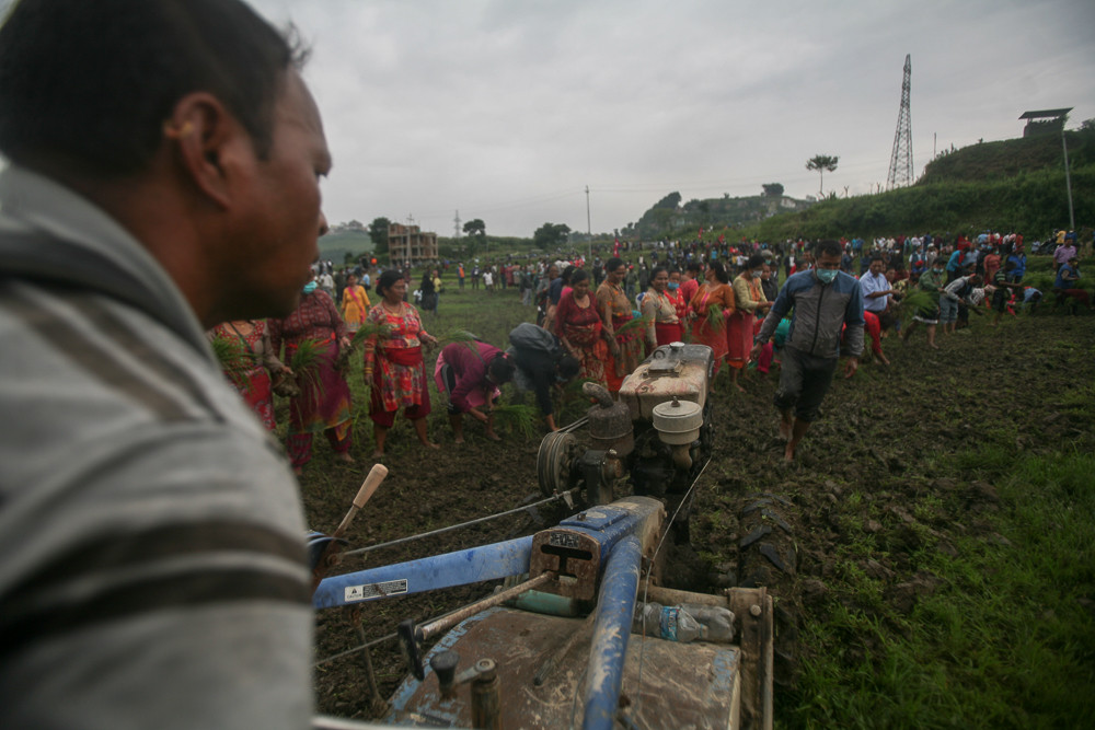 खोकनामा रोपाइँ गरेर विरोध प्रदर्शन (तस्बिरहरु)