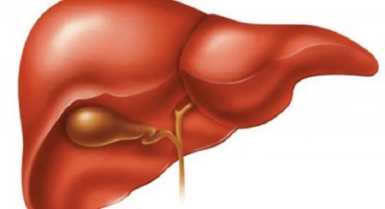 कलेजो खराब त भइरहेको छैन? यस्ता लक्षण देखिँदा लापरबाही नगरौं