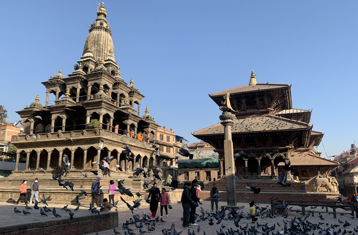 पाटनमा परेवा