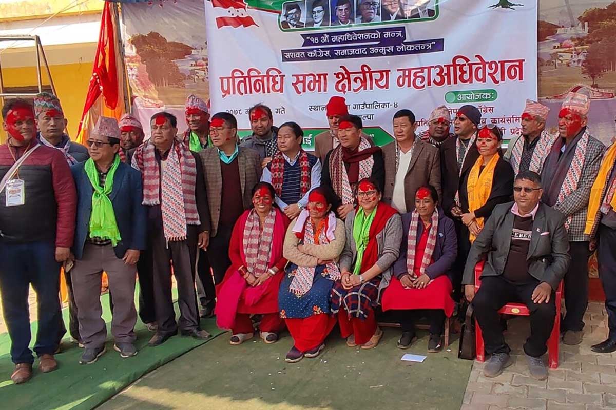 कांग्रेस महाधिवेशन : पाल्पाका २ क्षेत्रमा पौडेल समूह विजयी