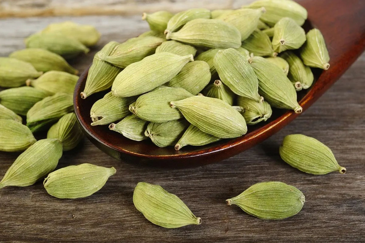 क्यान्सर र डिप्रेसनको जोखिमबाट जोगाउँछ सुकुमेलको सेवनले