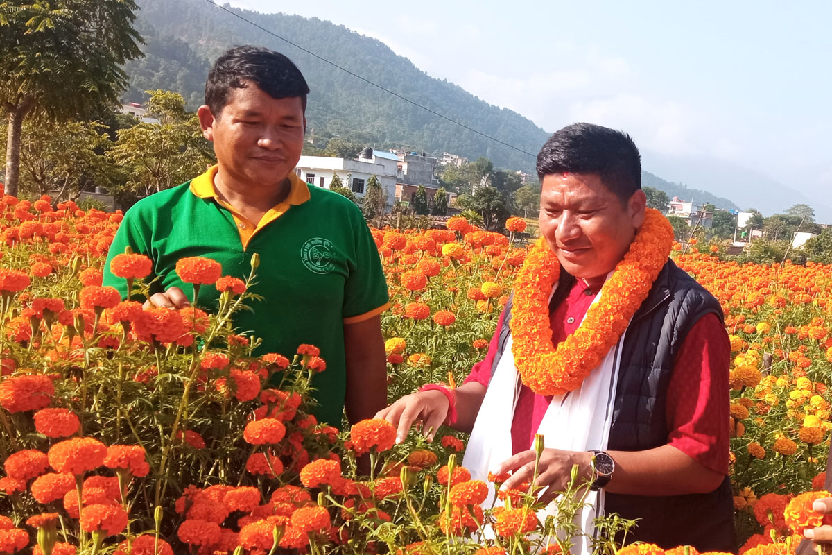 उम्मेदवारसँग उद्यमी बन्ने योजना माग्दै पाल्पाका किसान