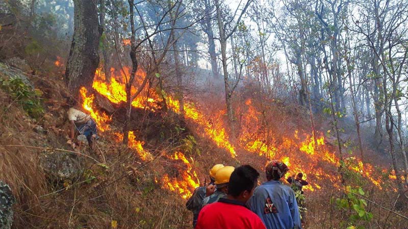 डढेलो फैलिन थालेपछि जोखिममा बस्ती