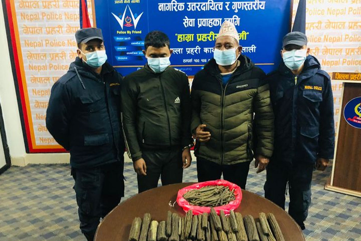 साढे चार किलो चरेशसहित कैलालीबाट दुई जना पक्राउ