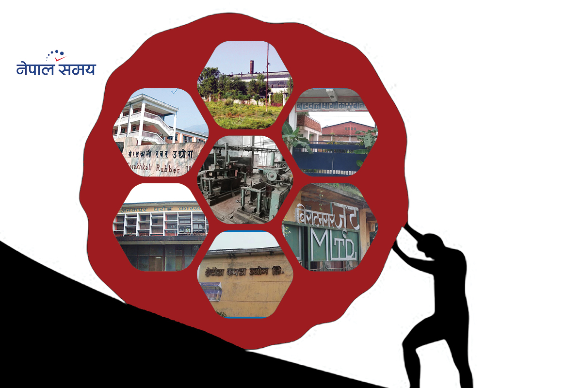 सार्वजनिक संस्थानको आर्थिक बोझले थलिँदै सरकार