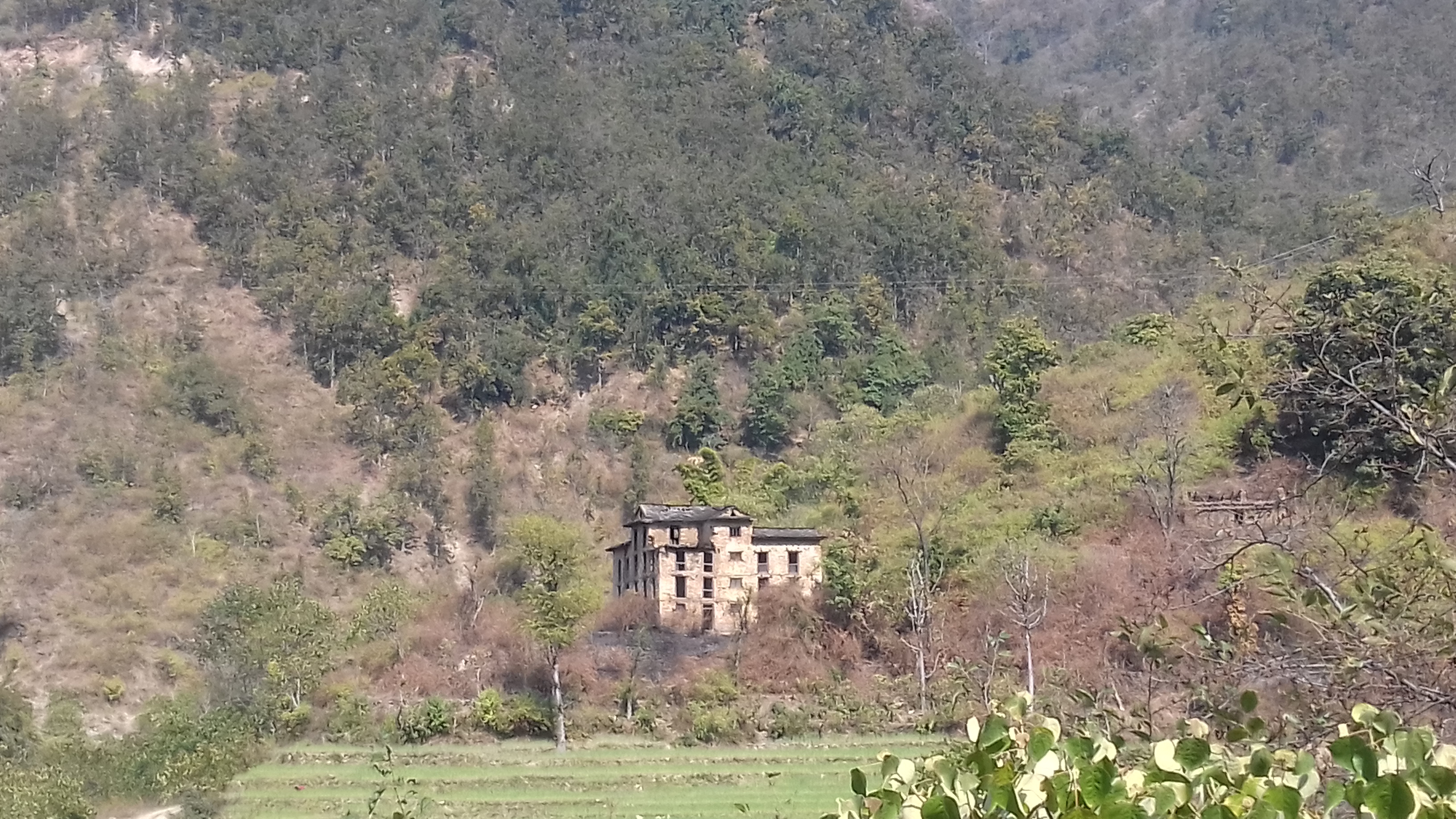 जंगल बीचको दरबार, जहाँ देवीदेखि बाघसम्मका किस्सा जोडिएका छन्
