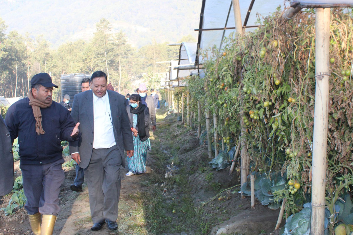 तरकारी बेचेरै १५ लाख आम्दानी गर्ने बूढानिलकण्ठ माविमा शिक्षामन्त्री