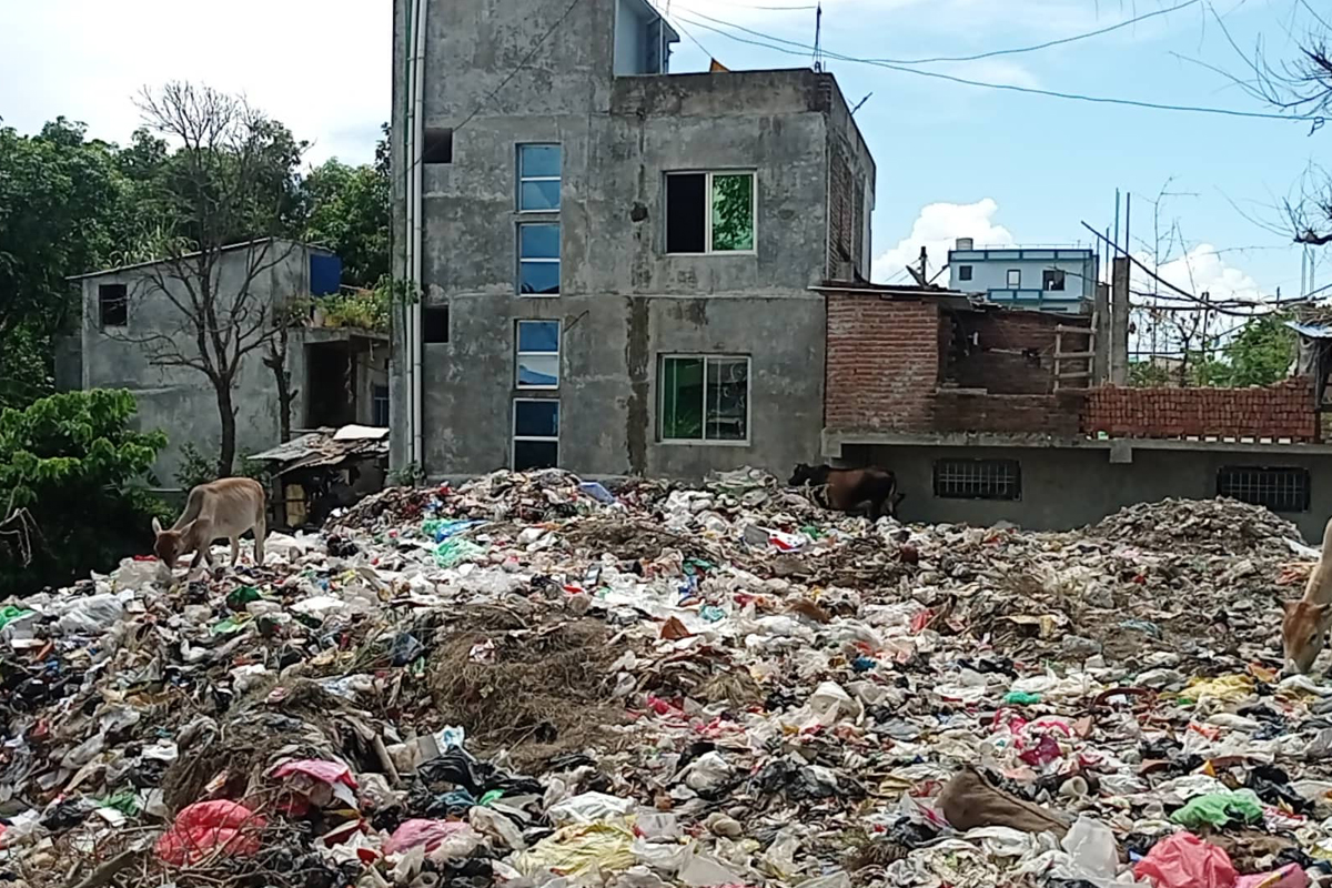 ४६ वर्षपछि धनगढीमा फोहोरमैला व्यवस्थापन गरिँदै