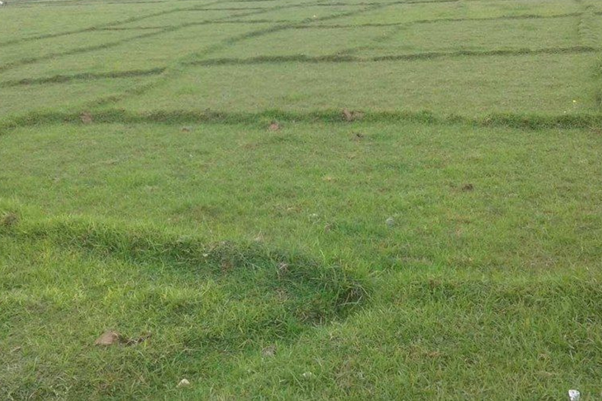 बाढीको त्रासले भजनीमा सयौँ बिघा जमिन बाँझै