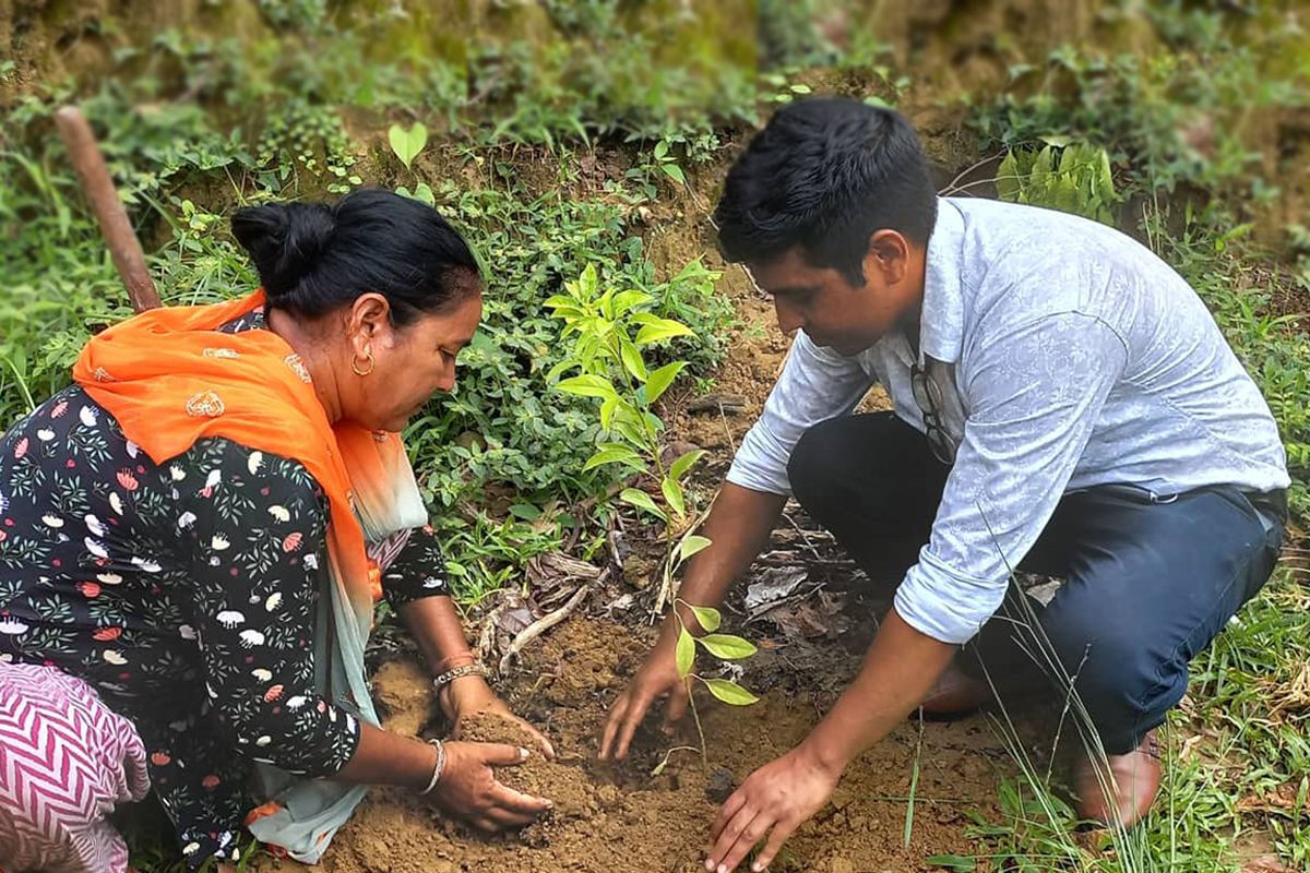 जसले भोट बराबर बोट लगाए : हजारको धौधौदेखि लाखौंको कारोबारसम्म