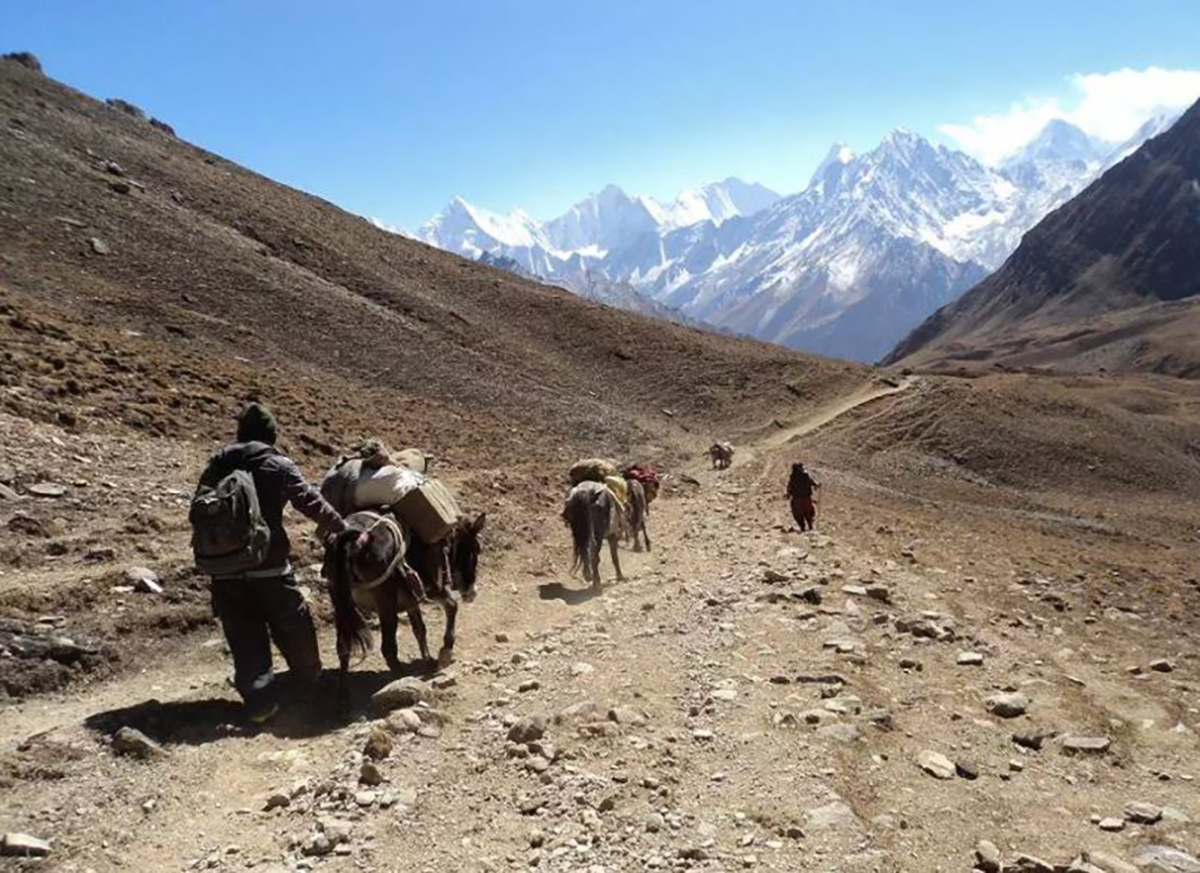 सुरक्षाविहीन बन्यो तिंकर नाका